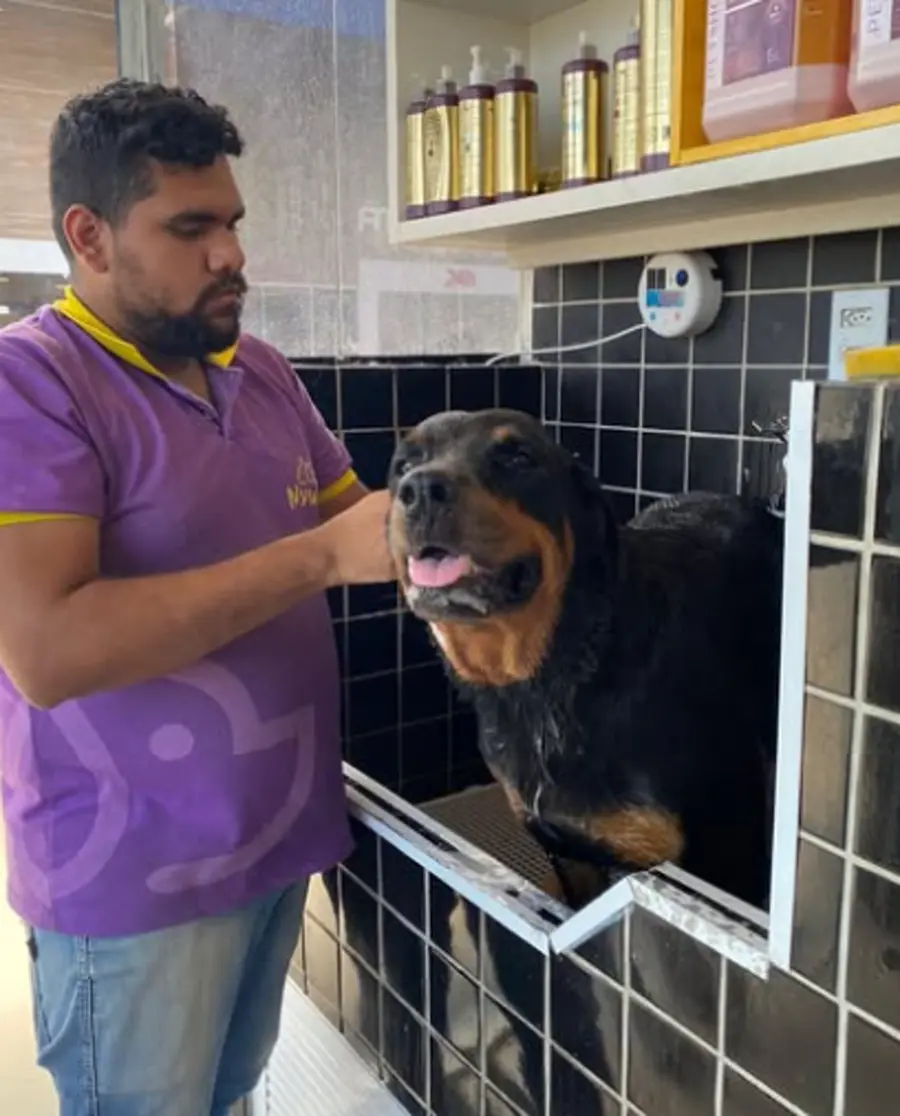 Atendimento na Nyupet